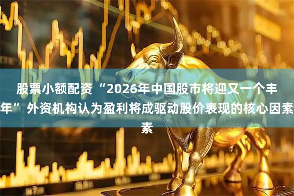 股票小额配资 “2026年中国股市将迎又一个丰年” 外资机构认为盈利将成驱动股价表现的核心因素