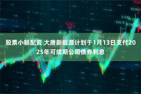 股票小额配资 大唐新能源计划于1月13日支付2025年可续期公司债券利息