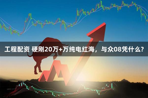 工程配资 硬刚20万+万纯电红海，与众08凭什么?